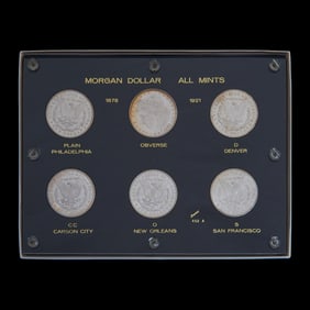 US Morgan Dollars (6)