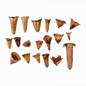 Collection of Dennis Stewart Turned Wood Vessels with Live Edges