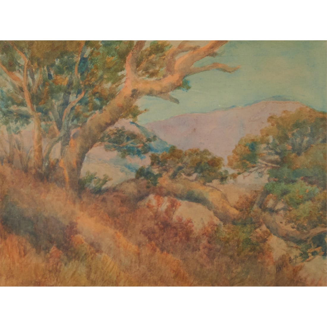 Helen Balfour, Old Oak on Hillside, Watercolor (1 of 5)