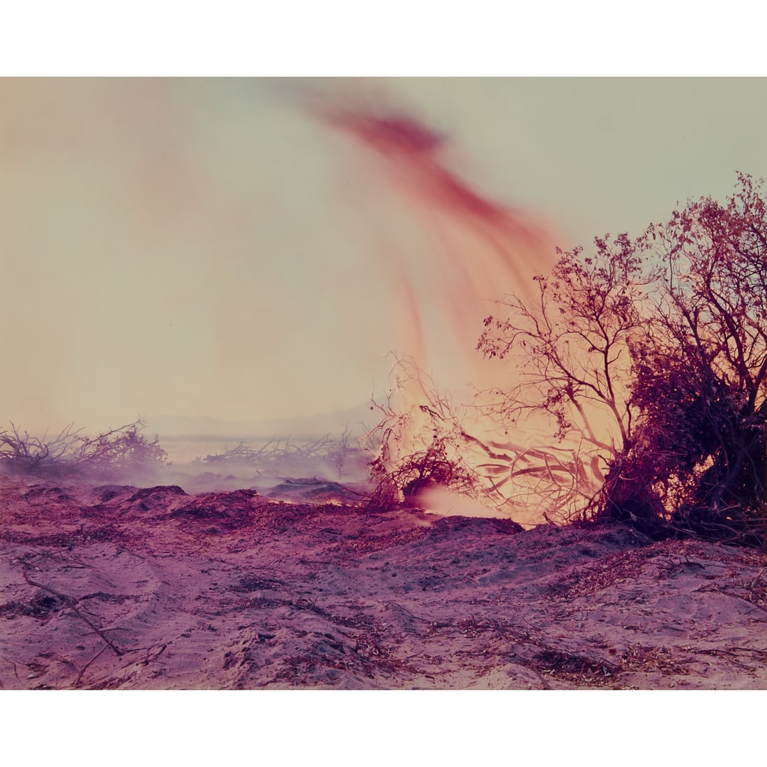 Richard Misrach, Desert Fire #77, Chromogenic Print: Richard Misrach (American, born 1949), Desert Fire #77, 1984, chromogenic print,[approximate dimensions - image: 8 1/2" H x 11" W, sheet: 8 1/2" H x 11" W], numbered 31/50, titled, signed and datedin