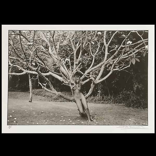 JOHN SWANNELL "Philippa Tree, Barbados, 2008" : JOHN SWANNELL (British b.1946) Philippa Tree, Barbados, 2008 Platinum gelatin print on arches paper Image: 13.25 x 19.75 inches/ 33.6 x 50.1 centimeters Signed & embossed lower right "John Swannell, S