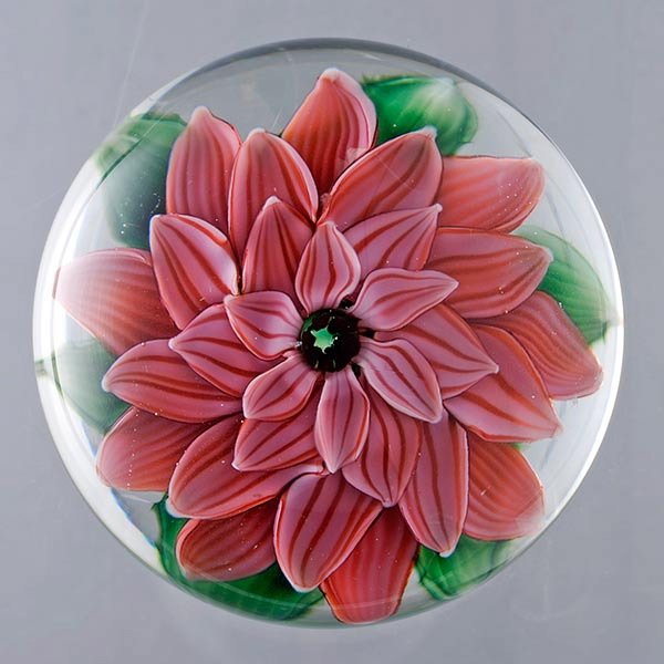 Chris Buzzini Floral Paperweight: Lundberg Studios Dahlia Paperweight on a clear ground, incised "Lundberg Studios 072806 18/250 Steve Lundberg" {Height 2 inches; diameter 3 inches}
