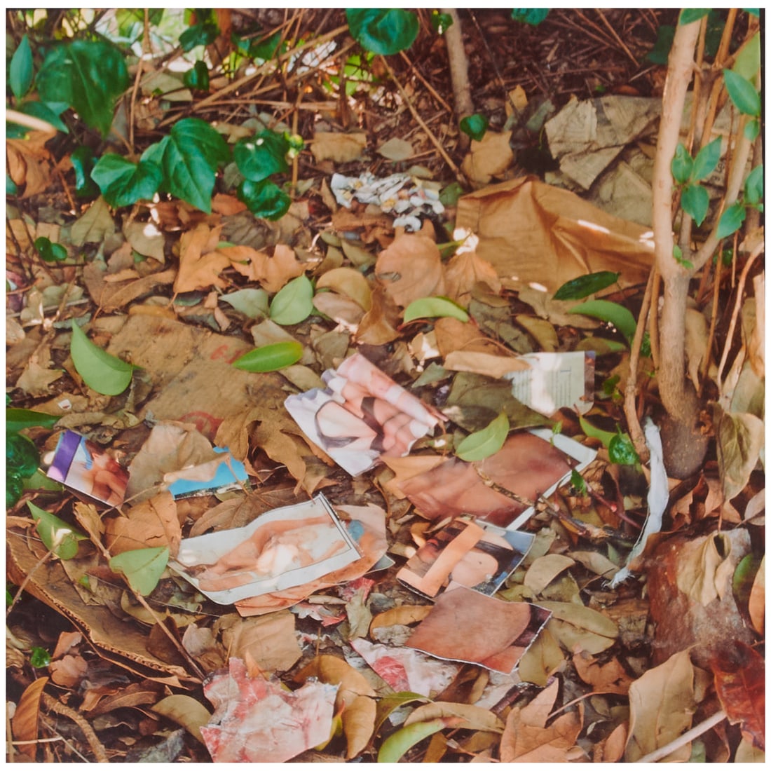 Anthony Hernandez, Landscape for the Homeless, Photograph (1 of 3)