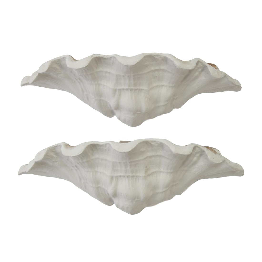 Attributed to Frances Adler Elkins Pair of Shell Form Sconces: Attributed to Frances Adler Elkins Pair of Shell Form Sconces, plaster, the backs with mounting holes.{Approximate dimensions: 9" H. x 24 1/2" W. x 8 1/2" D.}.Frances Adler Elkins (American,1888 -