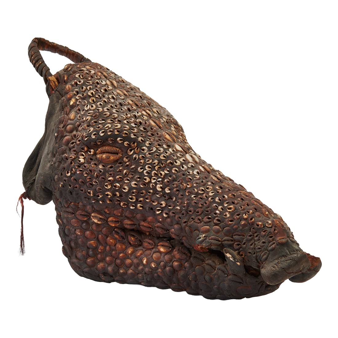 New Guinea Boar's Head with Cowry Shells, Boar's Tusks and Skin. Sepic River..{Approximate (1 of 5)