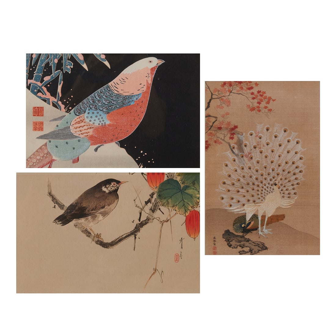 Three Japanese Woodblock Prints: Three Japanese woodblocks, a) Watanabe Seitei (1852-1918), "Starling on a Snake Gourd Vine", signed and sealed lower right, {sheet: 7 3/4 x 11 3/4 inches, frame: 12 x 15 3/8 inches}; b) After Ito Jaku