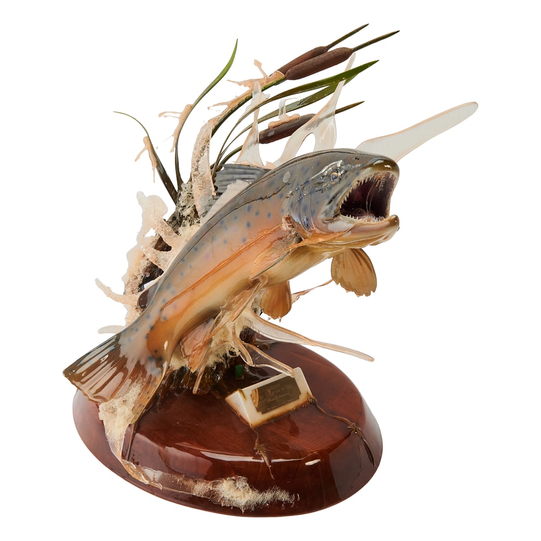 Powell Swanser Figure of a Trout on Walnut Base: Powell Swanser Figure of a Trout , Legend of Phantom Marsh," with plaque, engraved with artists name, Powell Swanser #13, and "For Lesle and Elbert Bressie," on Walnut Base.{Approximate dimensions: