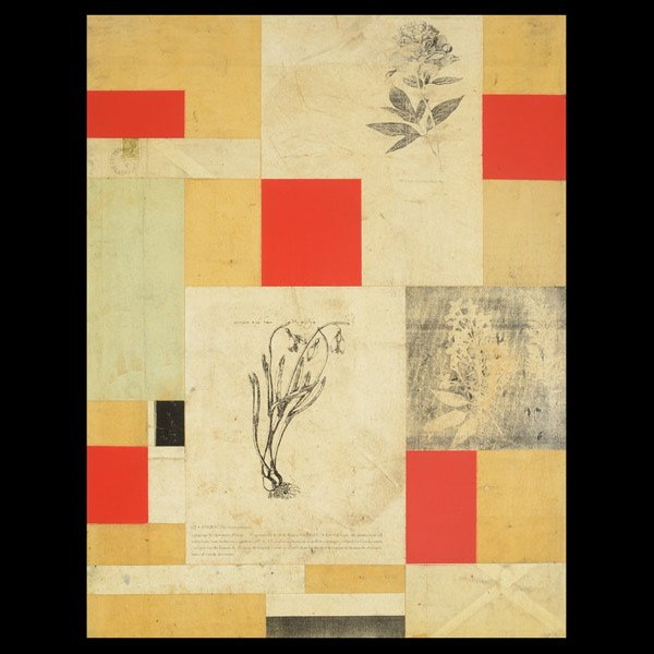 ROBERT KELLY Ledger Botanica XV, 1997 Mixed media : ROBERT KELLY (American b.1956) Ledger Botanica XV, 1997 Mixed media on canvas 25 x 19 inches/ 63.5 x 48.2 centimeters Verso: Titled, signed & dated "Ledger Botanica XV, Robert Kelly, 1997, Mixed media