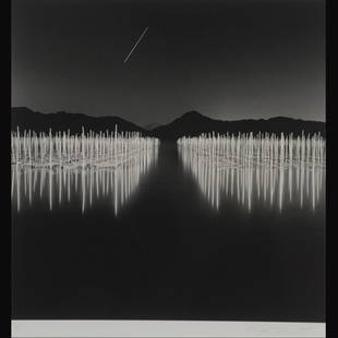 ROLFE HORN "Seaweed Farm, Toba, Japan, 2004" : ROLFE HORN (American b.1971) Seaweed Farm, Toba, Japan, 2000 Selenium toned gelatin silver print mounted 10.5 x 10.5 inches/ 26.6 x 26.6 centimeters Signed & dated in pencil lower right "Rolfe Horn, 2