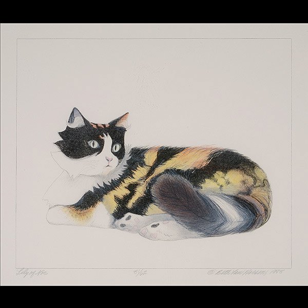 Print, Cat by Beth Van Hoesen : BETH VAN HOESEN (American 1926-2010) "Lily of Noe" (cat) Color etching on paper. Plate: 13 x 16 inches. Signed and dated l/r in pencil "1985", titled l/l "Lily of Noe" and numbered "51/62".