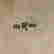 item-21621911=3