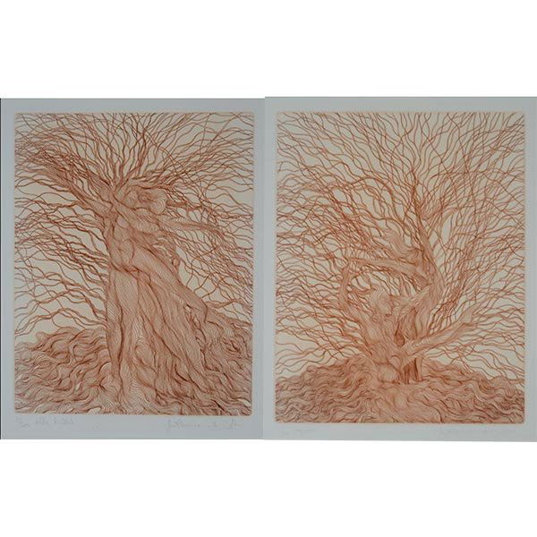 GUILLAUME AZOULAY, "The Willow Suite" 2 etchings: GUILLAUME AZOULAY (Isreal/American b.1949) Two Etchings from "The Willow Suite" entitled "Caprea 71/300" and "Alba Tristis 71/300" Intaglio etching on paper. Plate: 14 1/2 x 12 inches and 14 1/2 and 1