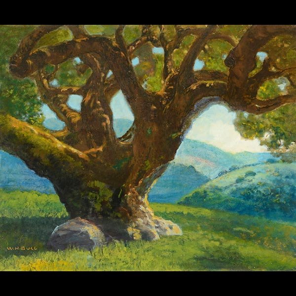 WILLIAM BULL California Oak Tree Oil on board: WILLIAM HOWELL BULL (Californian 1861-1940) "Untitled - the Old Oak" Oil on board. 24 x 28 inches. Signed l/l "W.H. Bull" CONDITION: In good overall condition for its age. Light surface soiling.