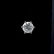Pair of Diamond, 14k White Gold Stud Earrings. - 2