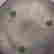 item-25059883=6