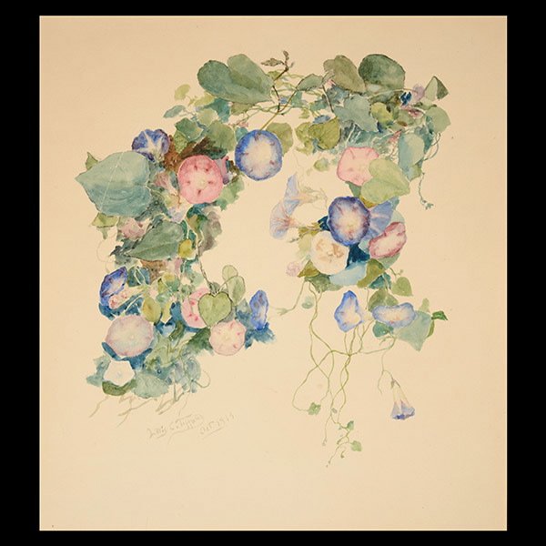 Tiffany Studios Sketch of Morning Glories.: Tiffany Studios Watercolor Study Of Morning Glories. This sketch provides a key to the ease with whichTiffany straddled the tradition barrier between the fine and applied arts- that of the artist and 
