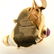 Pair of Seaman Schepps Shell, Ruby, 14k Yellow Gold - 3