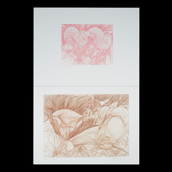 GUILLAUME AZOULAY Group of two horse etchings: GUILLAUME AZOULAY (Isreal/American b.1949) Group of two intaglio etchings entitled "Encounter", plate measures 11 1/2 x 14 1/2 inches, sheet measures 22 x 30 inches, numbered l/l "55/75" and signed l/
