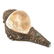 Three Tibetan Conch Shells, 19th Century - 10