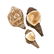 Three Tibetan Conch Shells, 19th Century