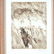 JOHN KOENIG "Line Abstract, Abstract Animals and - 4