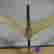 item-45062172=2