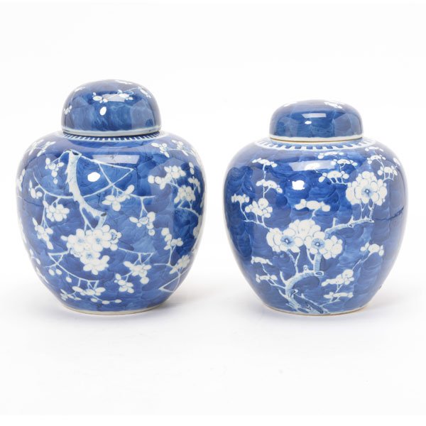 Two Underglaze Blue 'Prunus' Jars, 19th Century (1 of 10)
