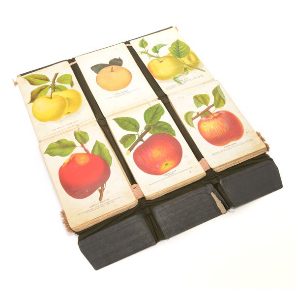 Luther Burbank Seed Salesman Sample Booklet (1 of 6)