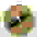 item-50060043=2
