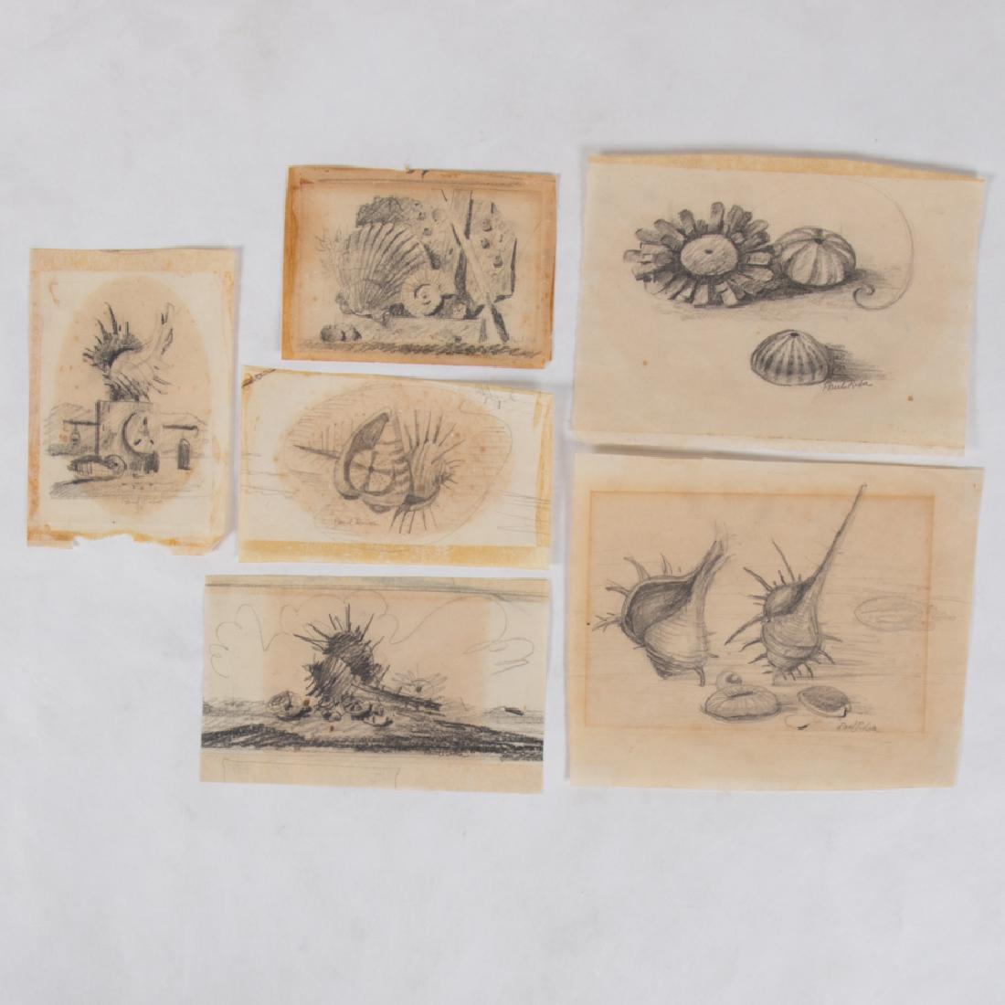 Paul Riba (1912-1977) A Group of Six Seashell Studies, (1 of 3)