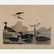 A Group of Three Colored Lithographs Depicting Birds by - 2