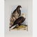 A Group of Three Colored Lithographs Depicting Birds by - 5