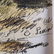 A Group of Three Colored Lithographs Depicting Birds by - 6