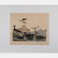 A Group of Three Colored Lithographs Depicting Birds by - 7