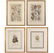 A Group of Four Framed Botanical Prints by Various