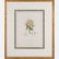 A Group of Four Framed Botanical Prints by Various - 20