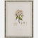 A Group of Four Framed Botanical Prints by Various - 5