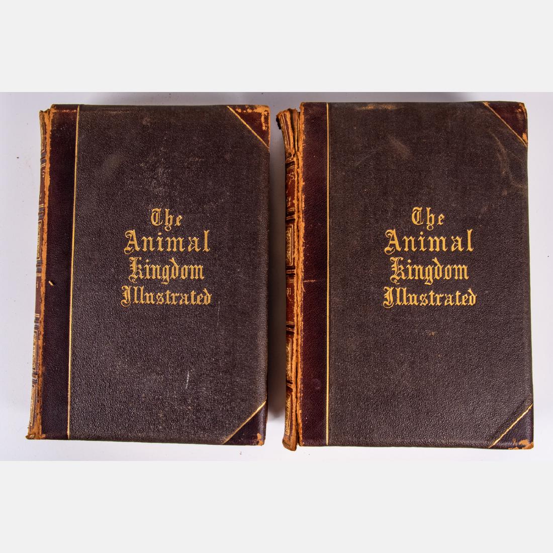 Goodrich, Samuel Griswold (1793-1860). Johnson's (1 of 16)