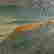 item-108819854=5