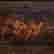 item-121365477=3