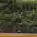 item-127795748=3