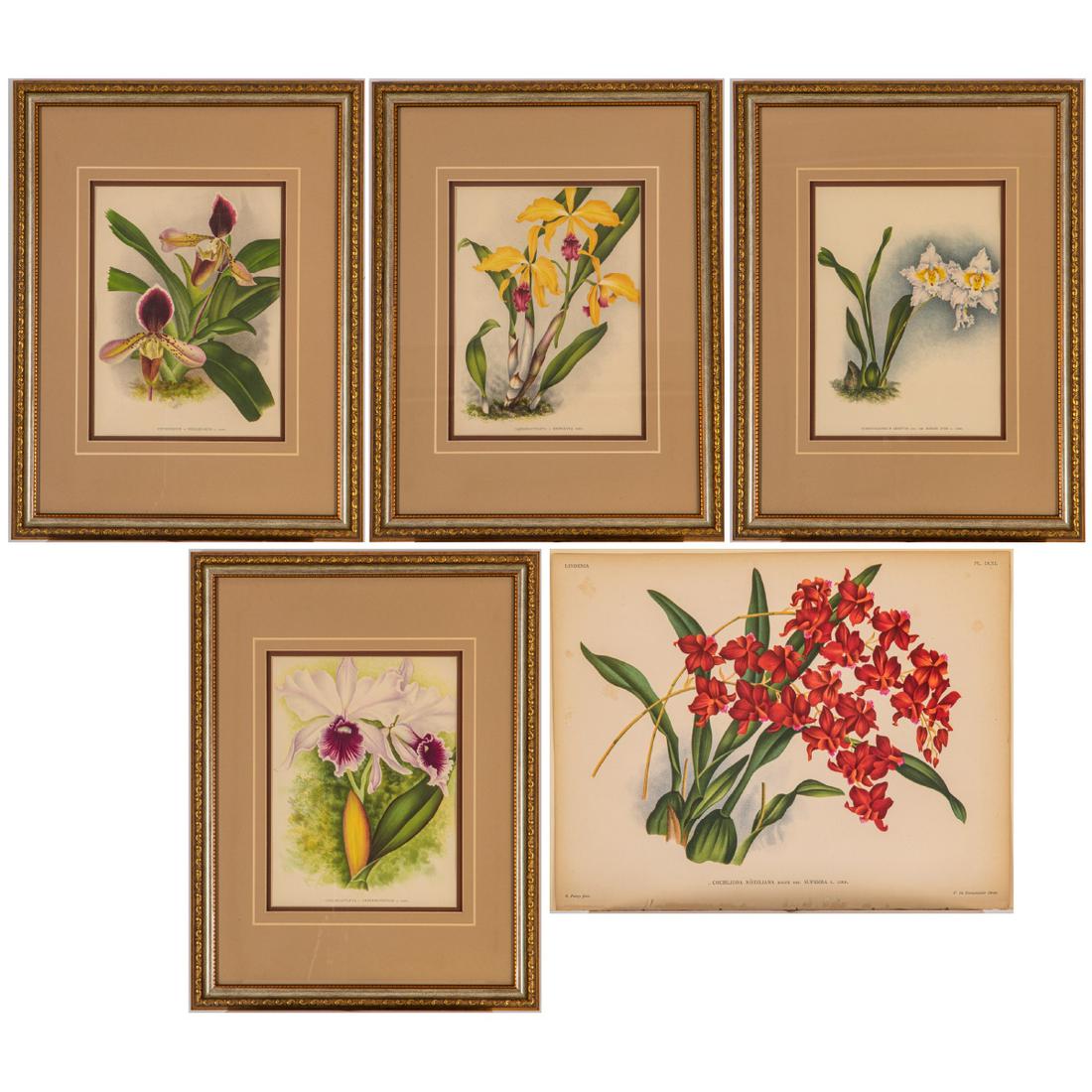 Group of Five Floral Colored Chrome Lithographs (1 of 7)