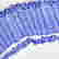 item-130531172=2