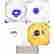 item-130531405=5