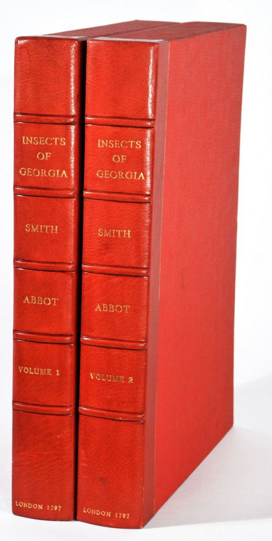 ABBOT, John (1751-1839) and Sir James Edward SMITH: ABBOT, John (1751-1839) and Sir James Edward SMITH (1759-1829). The Natural History of the Rarer Lepidopterous Insects of Georgia. London: T. Bensley for J. Edwards, Cadell and Davies and J. White, 17