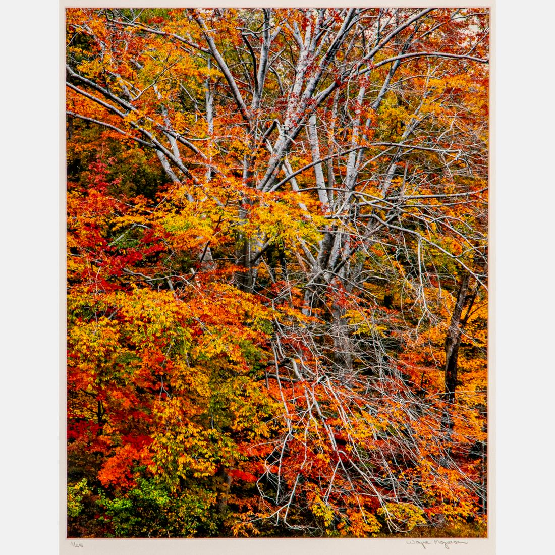 Wayne Mazorow (American, 20th Century) (1 of 6)