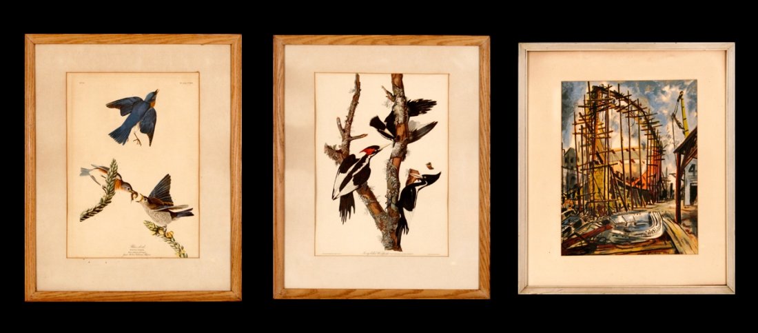 A Group of Three Framed Decorative Prints,: A Group of Three Framed Decorative Prints, Two after John James Audubon. h: 14.50 x w: 19 in.