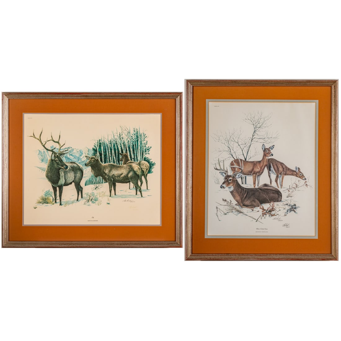 Two Framed Deer & Elk Lithographs (1 of 7)