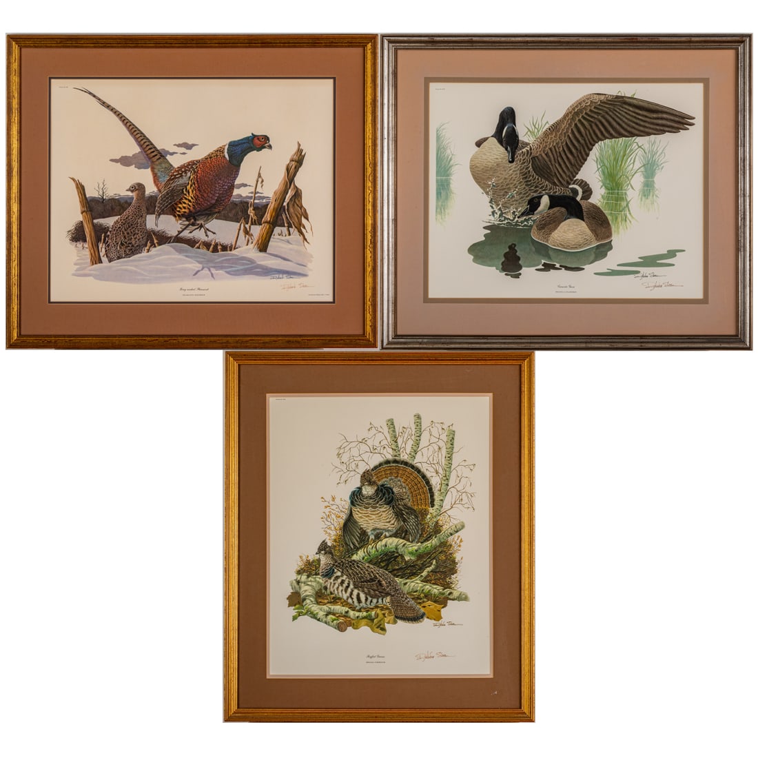 Three Framed Game Bird Lithographs (1 of 8)