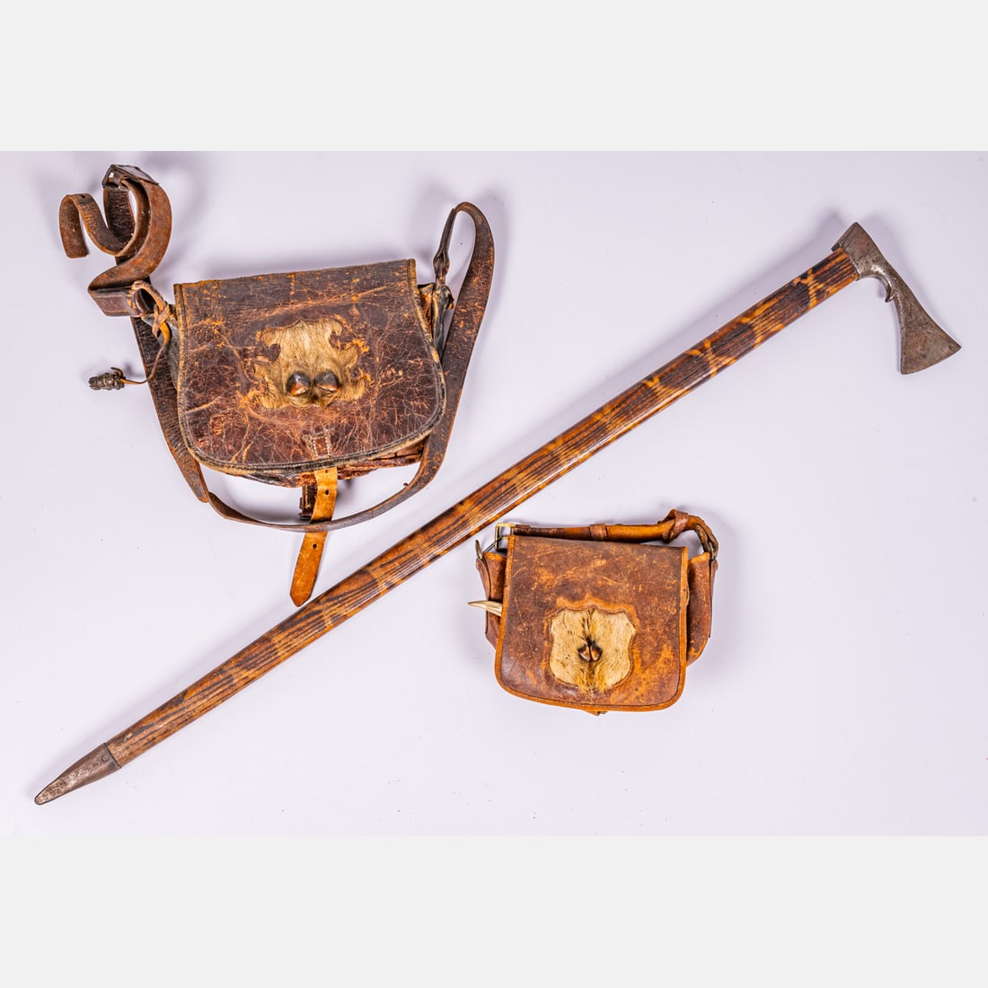 An Alpine Walking Stick (1 of 6)